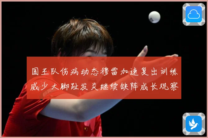 国王队伤病动态穆雷加速复出训练威少大脚趾发炎继续缺阵成长观察：最新赛事动态与深度分析