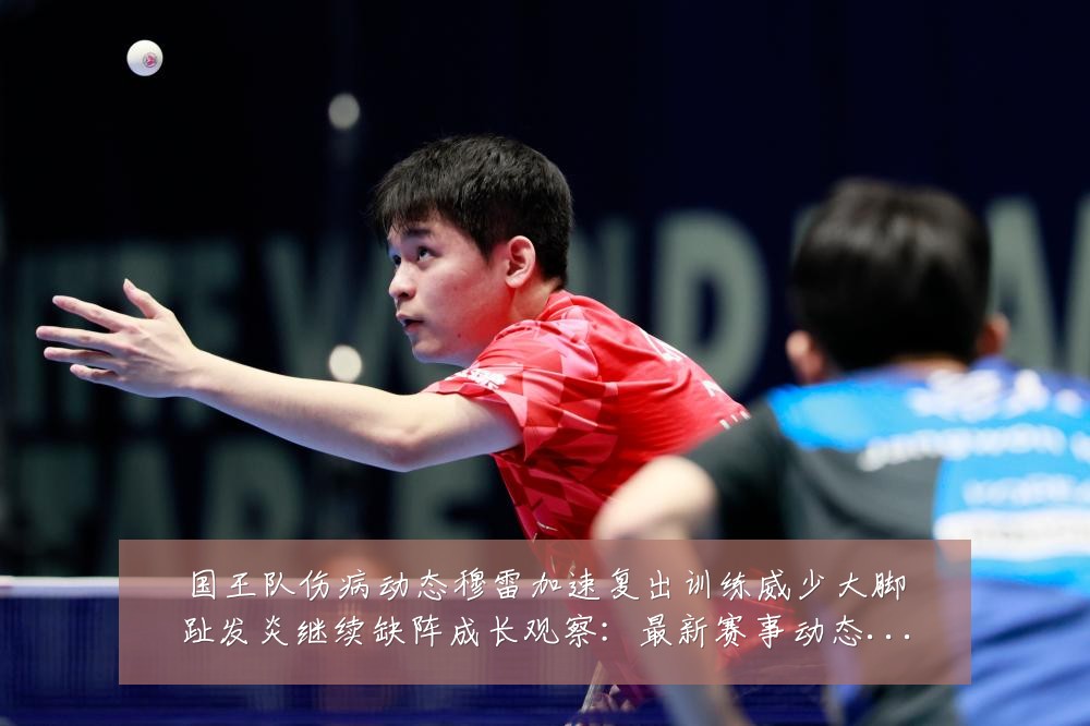 国王队伤病动态穆雷加速复出训练威少大脚趾发炎继续缺阵成长观察:最新赛事动态与深度分析